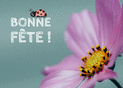 F&ecirc;te en fleurs avec douceur et couleur